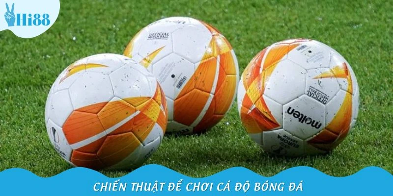 2 bí kíp quan trọng trong cách cá độ bóng đá