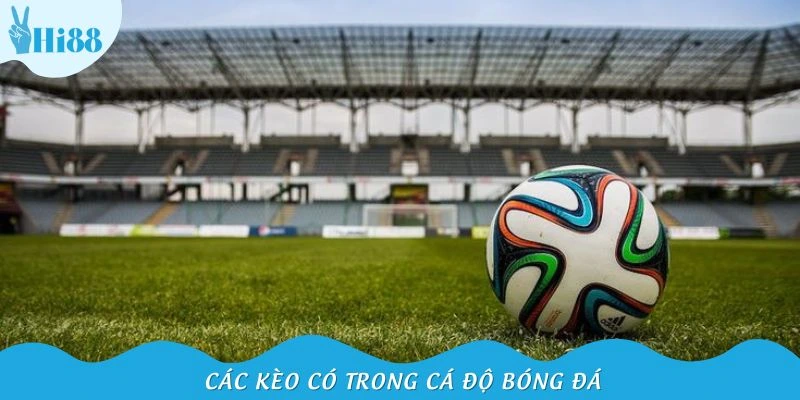 Các loại kèo trong cá độ bóng đá cần biết