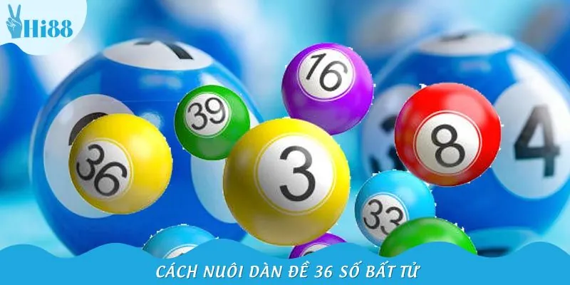 Chiến thuật nuôi dàn đề 36 số đơn giản nhưng hiệu quả