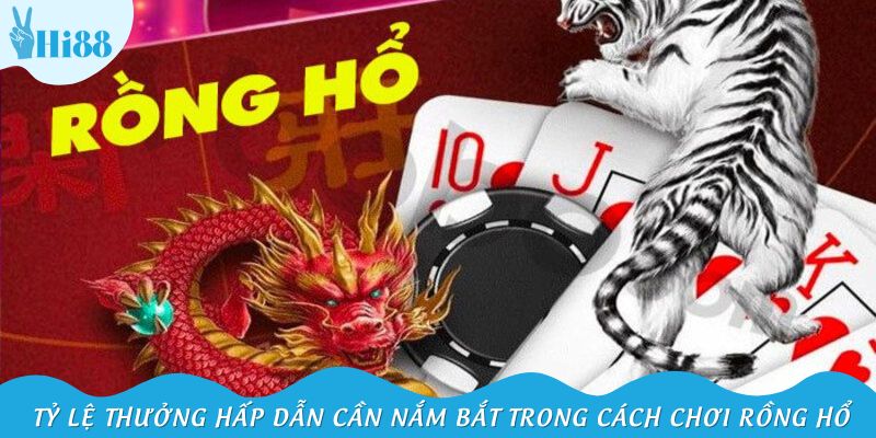 Tỷ lệ thưởng hấp dẫn cần nắm bắt trong cách chơi Rồng Hổ