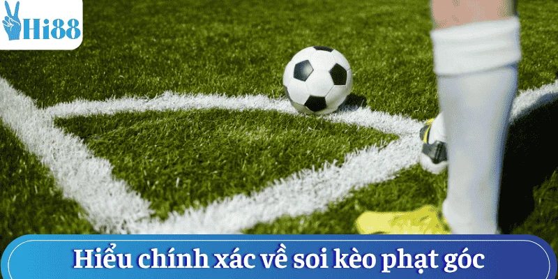 tong-quan-ve-soi-keo-phat-goc
